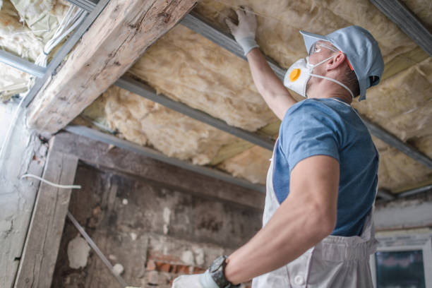 Best Specialty Insulation in North Pearsall, TX