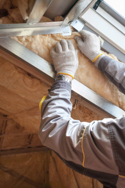 Best Specialty Insulation in North Pearsall, TX