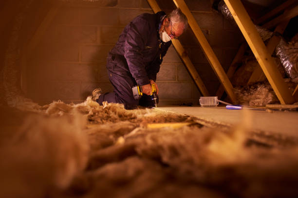 Best Types of Insulation in North Pearsall, TX